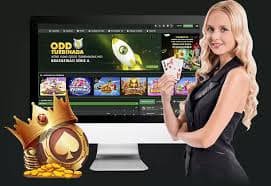 766 bet